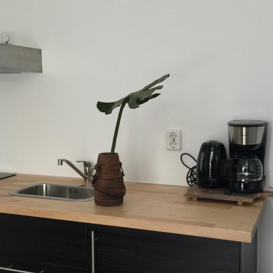 Appartementen Zeespiegel Zandvoort Εξωτερικό φωτογραφία